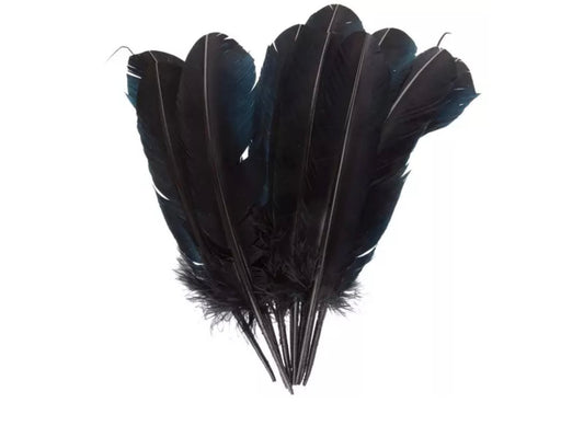 Black Feather – Protection • Divination • Spirit Work